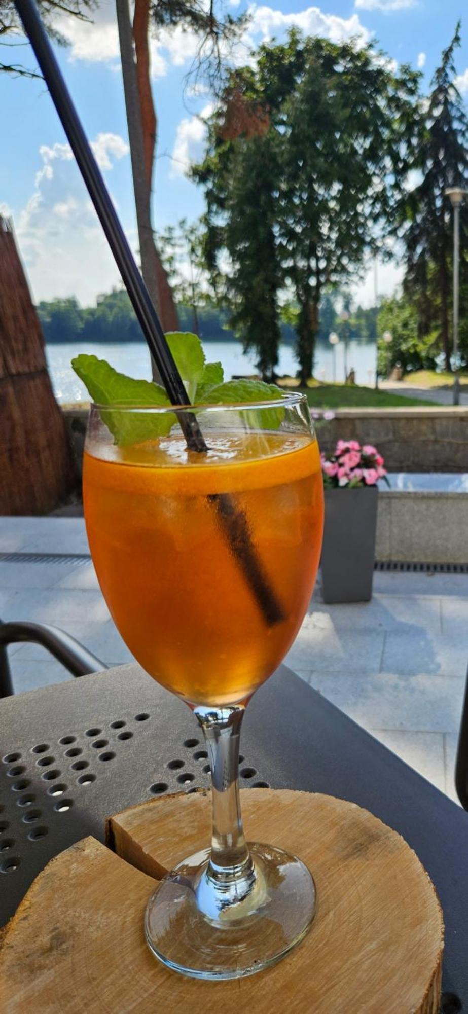 Papaver Hotel Ślesin Esterno foto